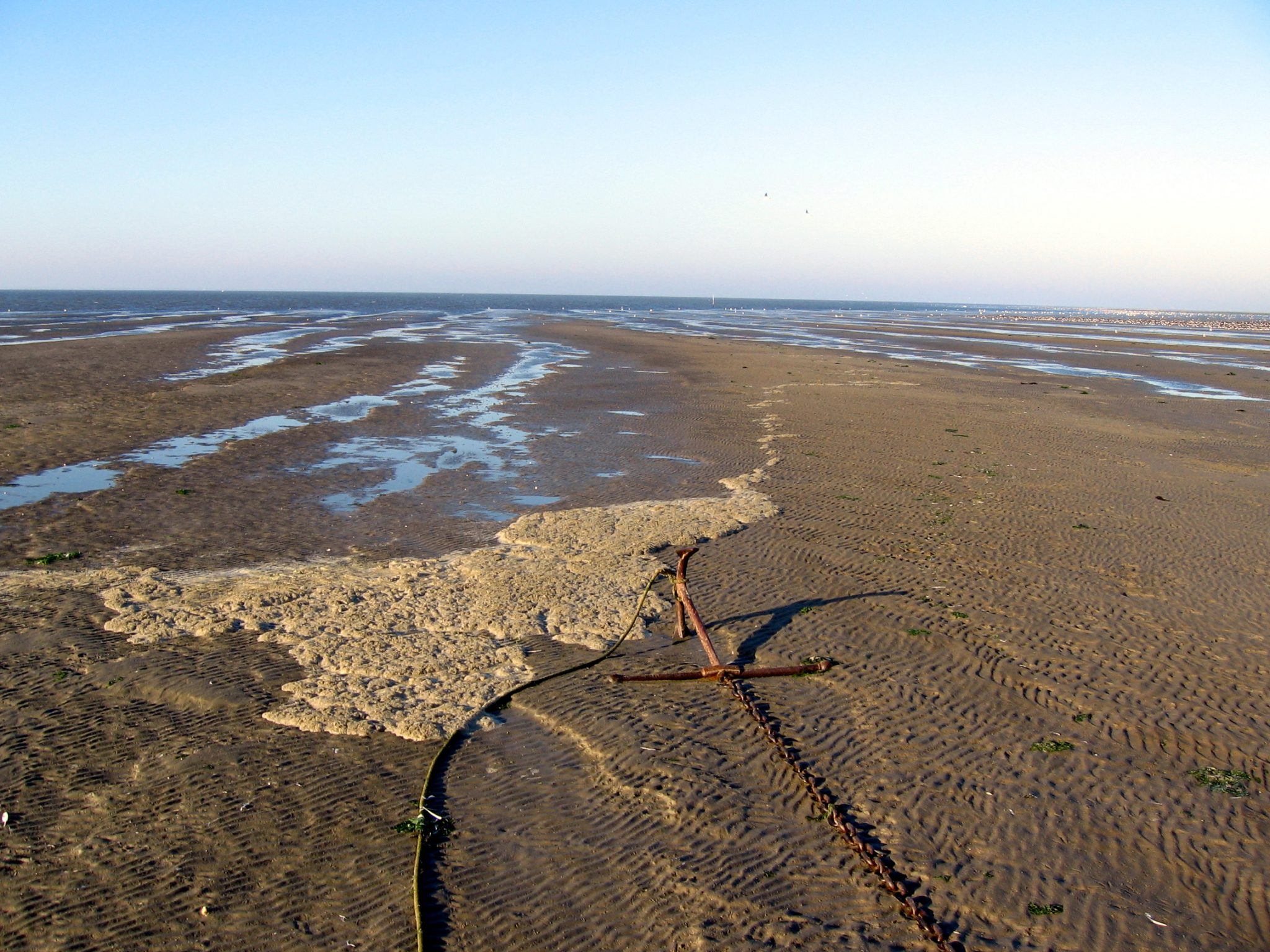 Hoog en droog 2005