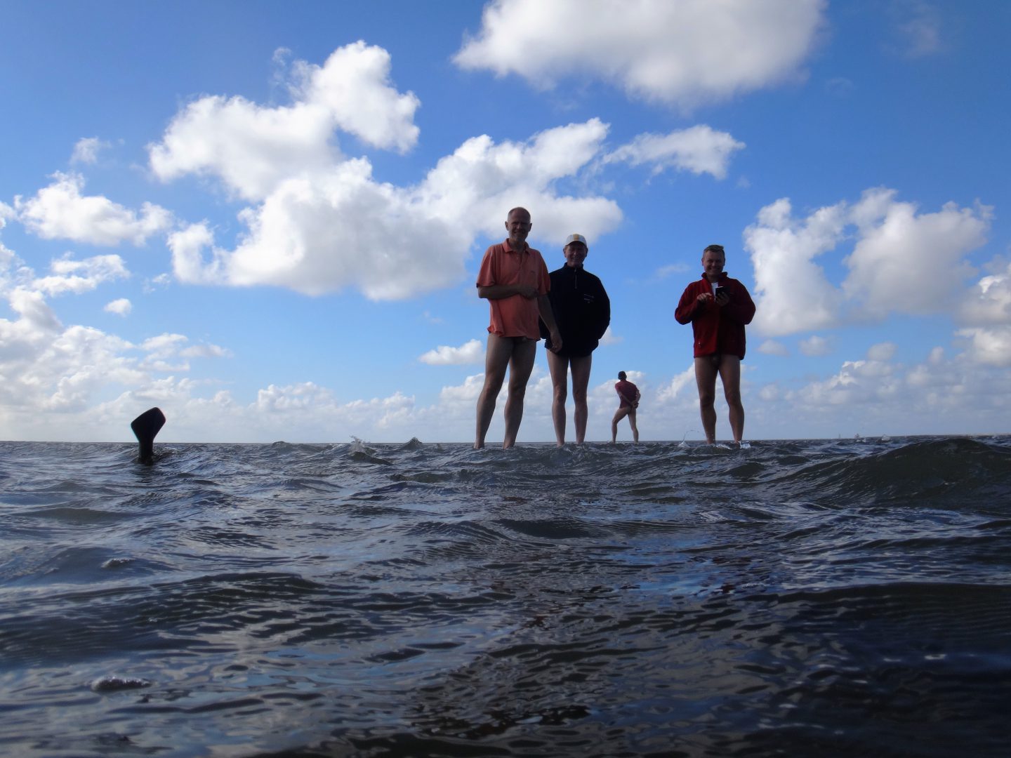 Naturistische wadweek 2016