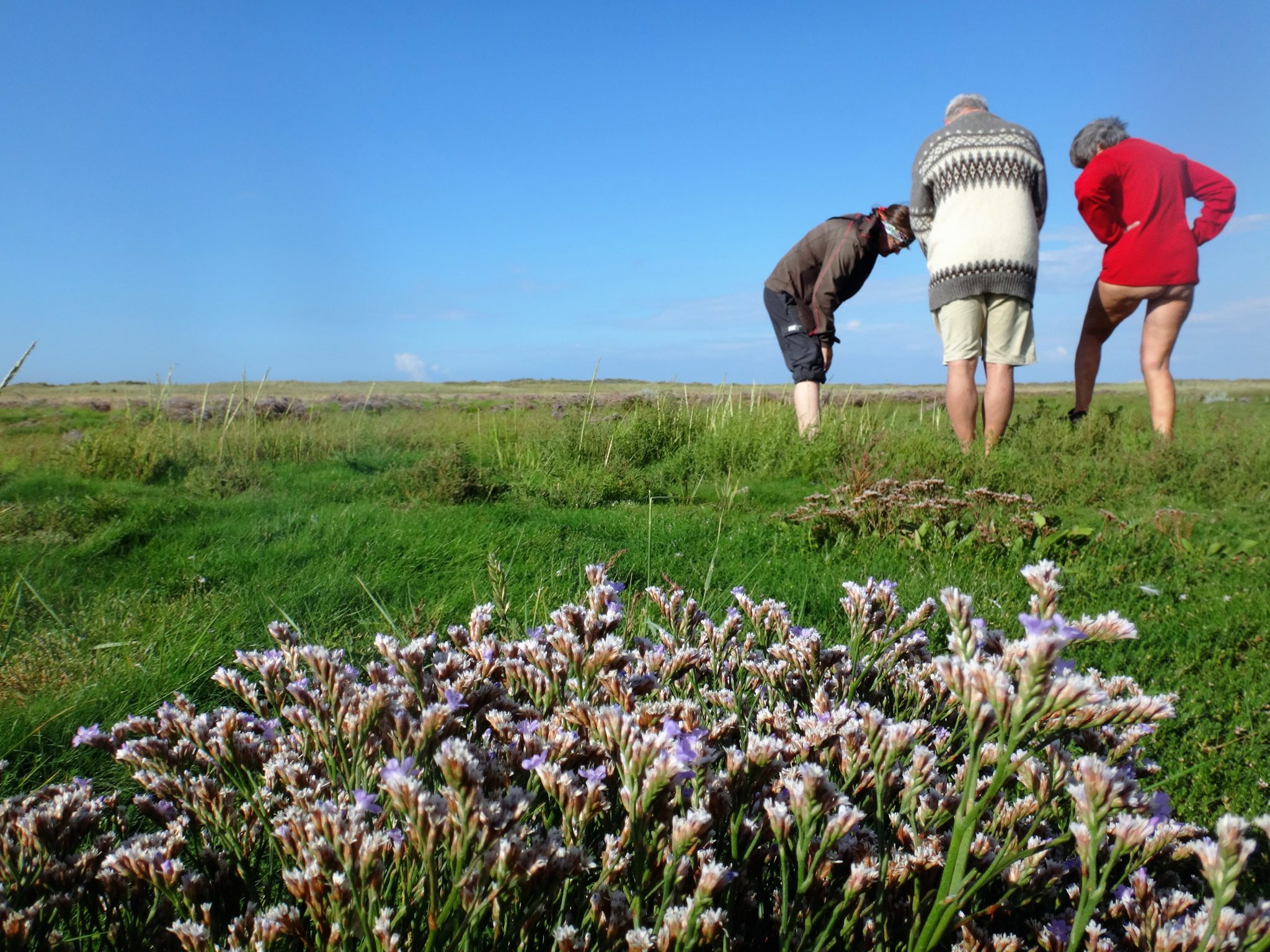 Natuurweek 2016