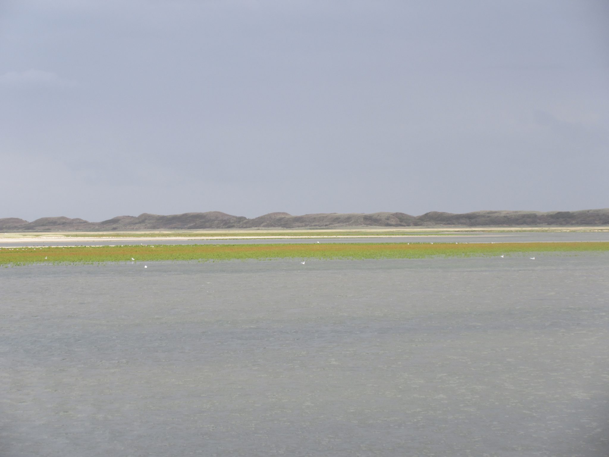 Waddenweek 25-31aug