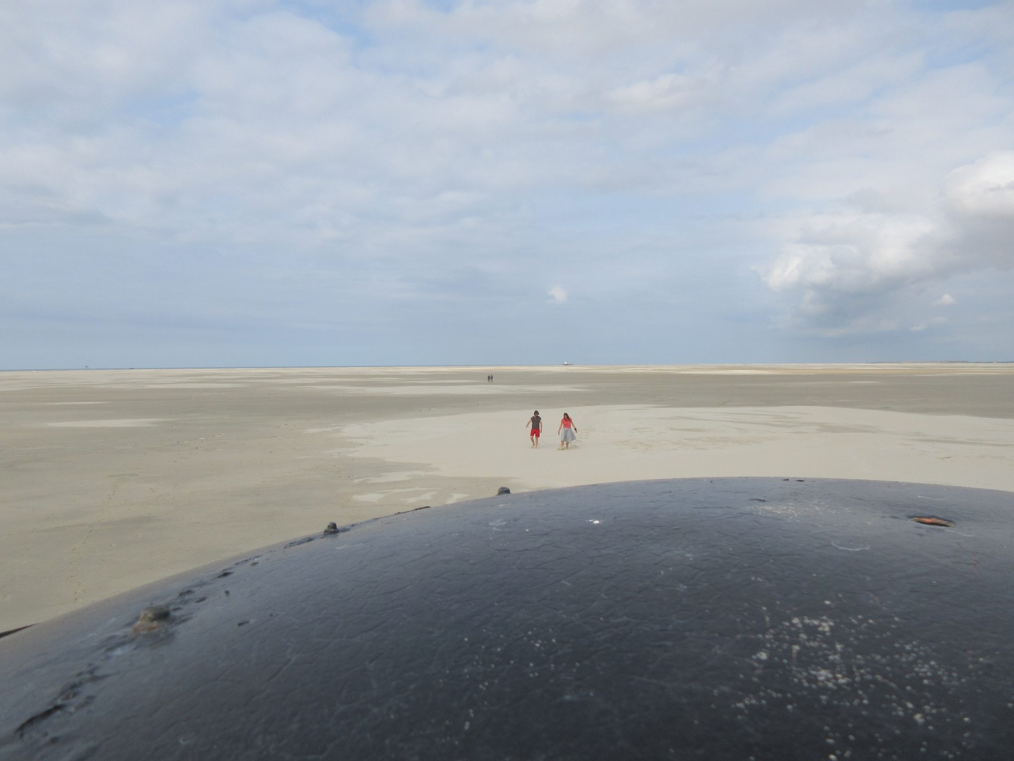 Waddenweek 25-31aug