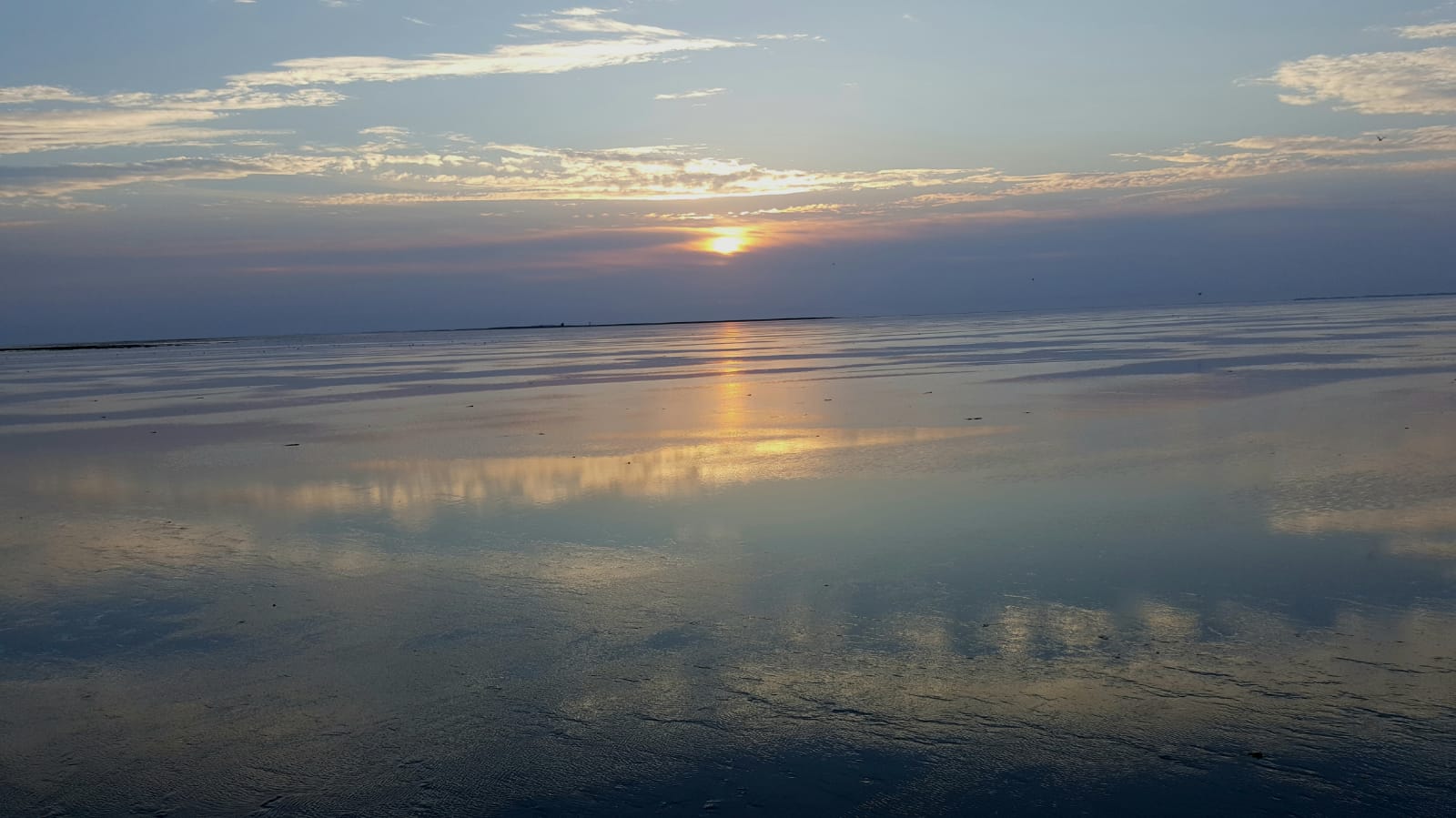 Natuur belevingsweek op het wad