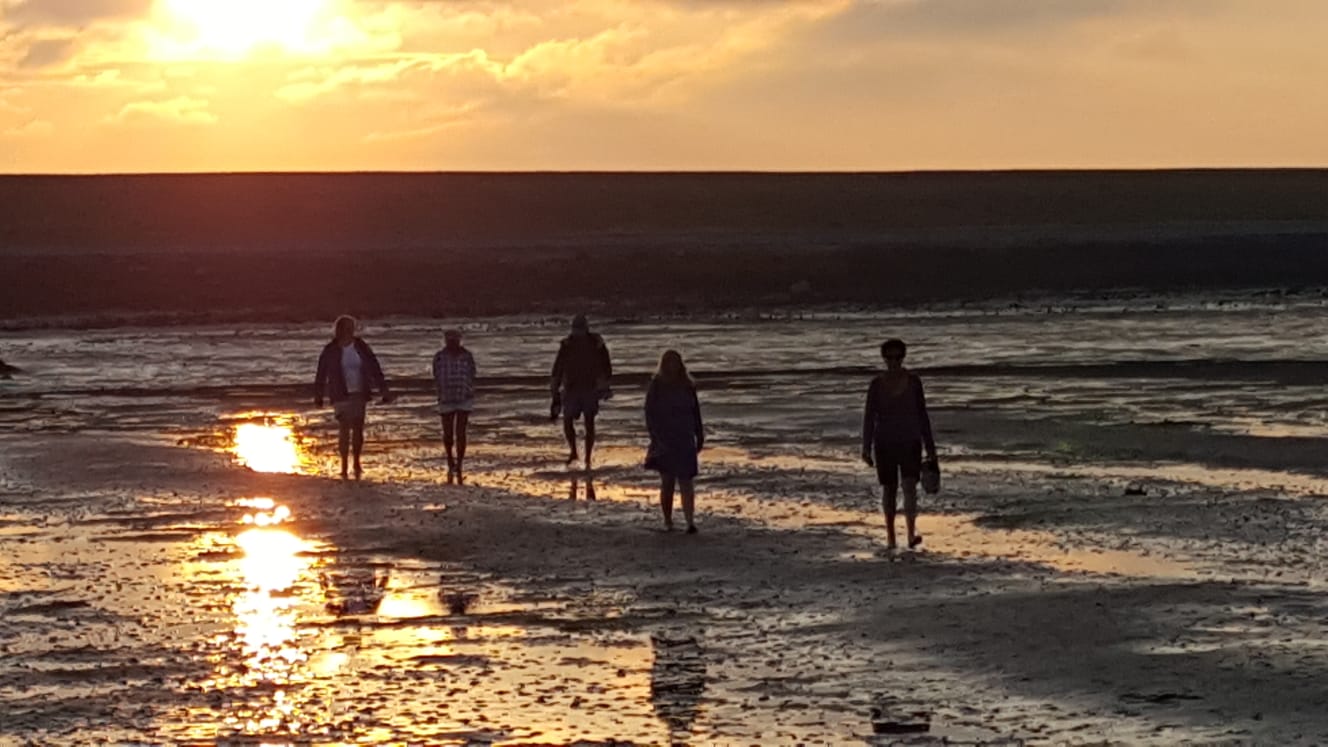 Natuur belevingsweek op het wad