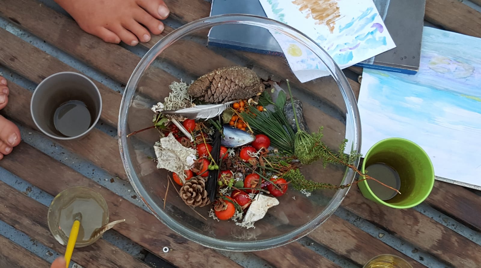 Natuur belevingsweek op het wad