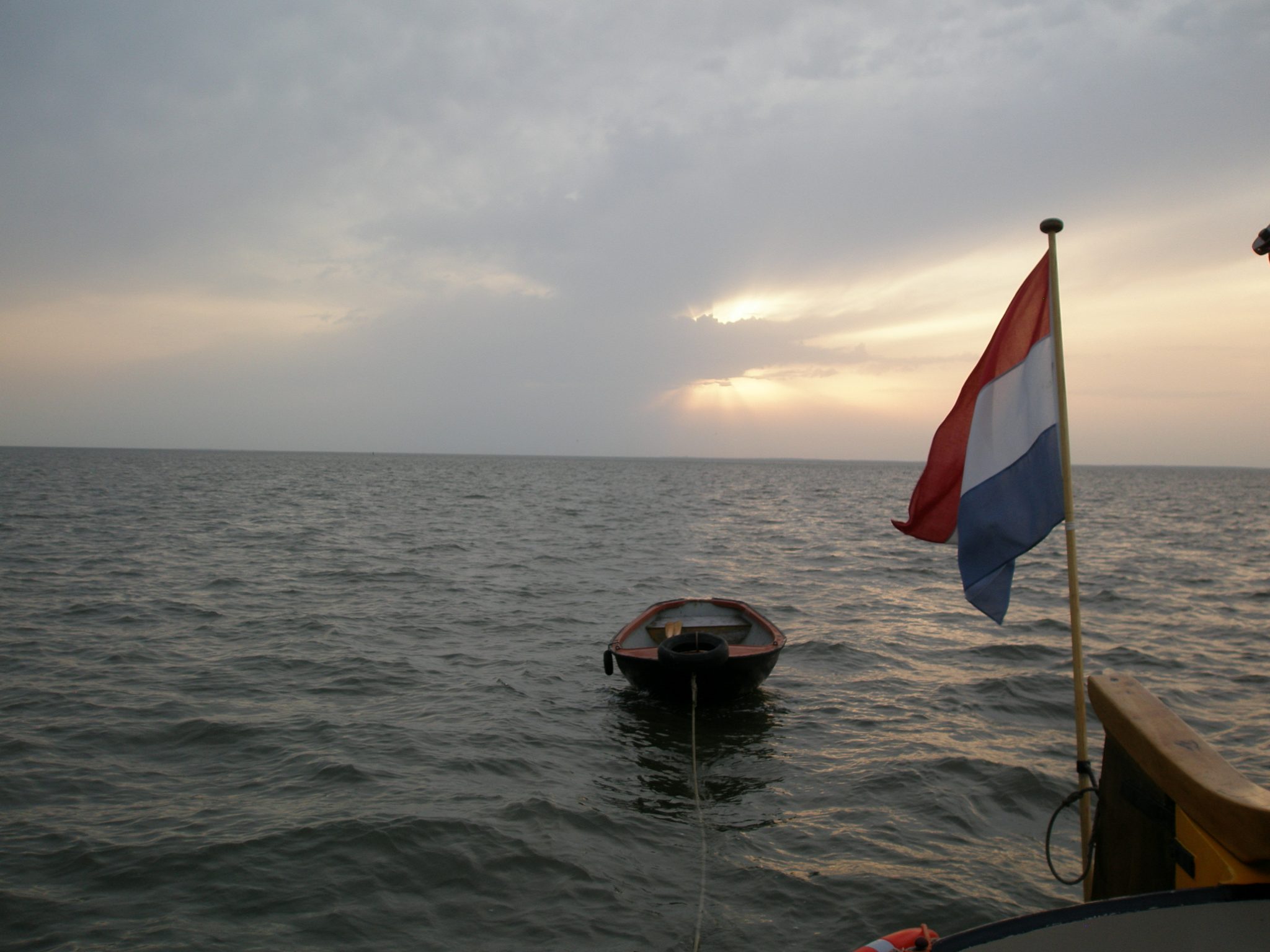 Waddenweek voor vogelaars 4-10 Aug 2018