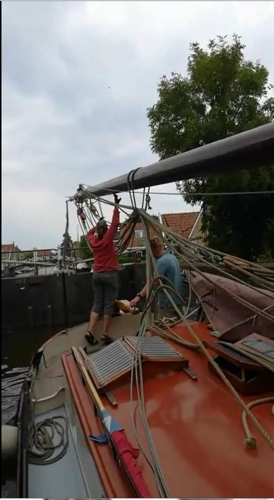 Waddenweek voor vogelaars 4-10 Aug 2018