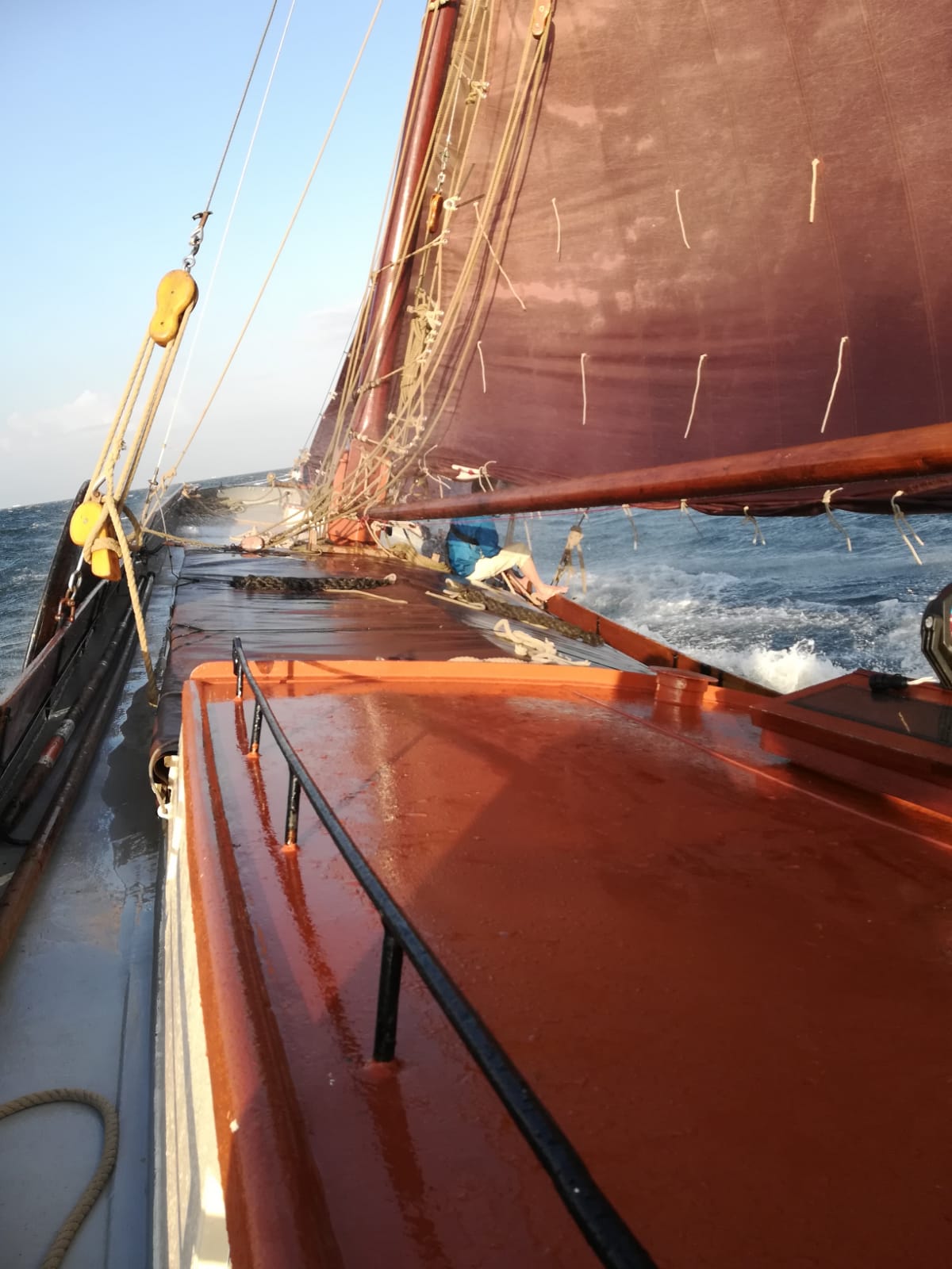 Waddenweek voor vogelaars 4-10 Aug 2018