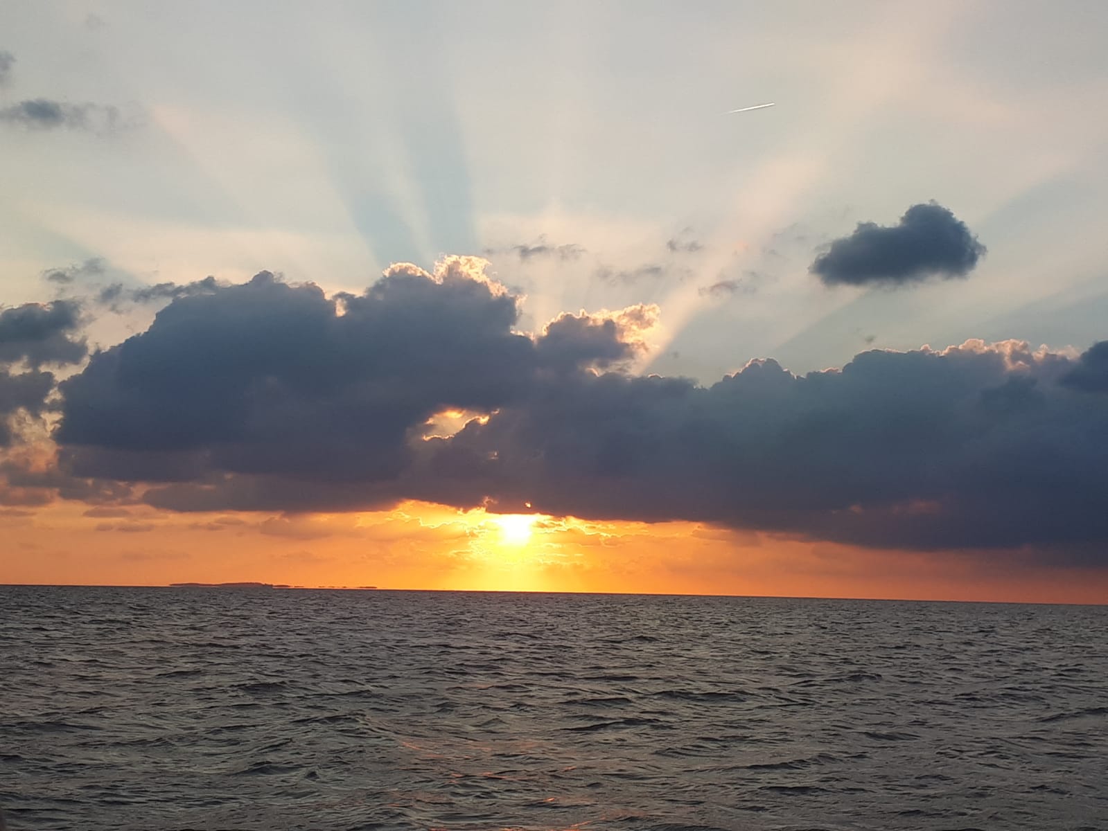 Waddenweek voor vogelaars 4-10 Aug 2018