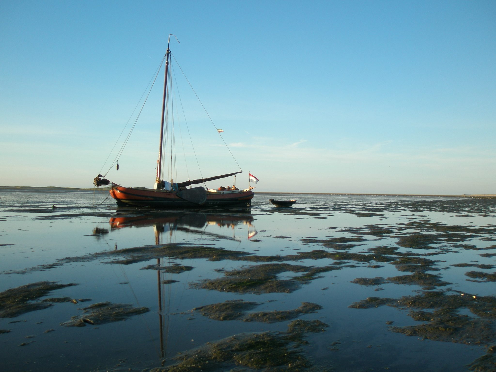 Waddenweek voor vogelaars 4-10 Aug 2018